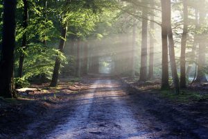 Hallow App Blog Spotlight: A Spiritual Journey on the Camino