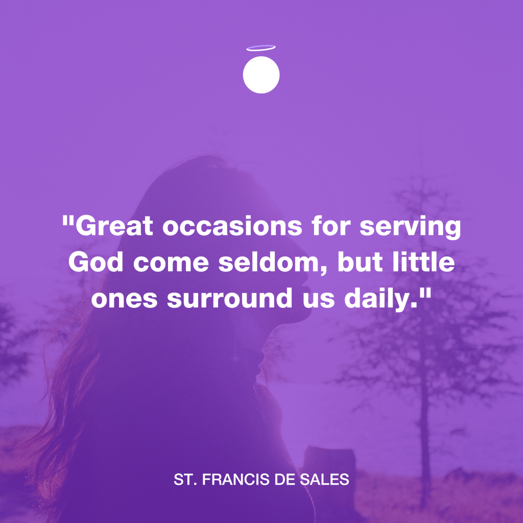 "Great occasions for serving God come seldom, but little ones surround us daily." - St. Francis de Sales