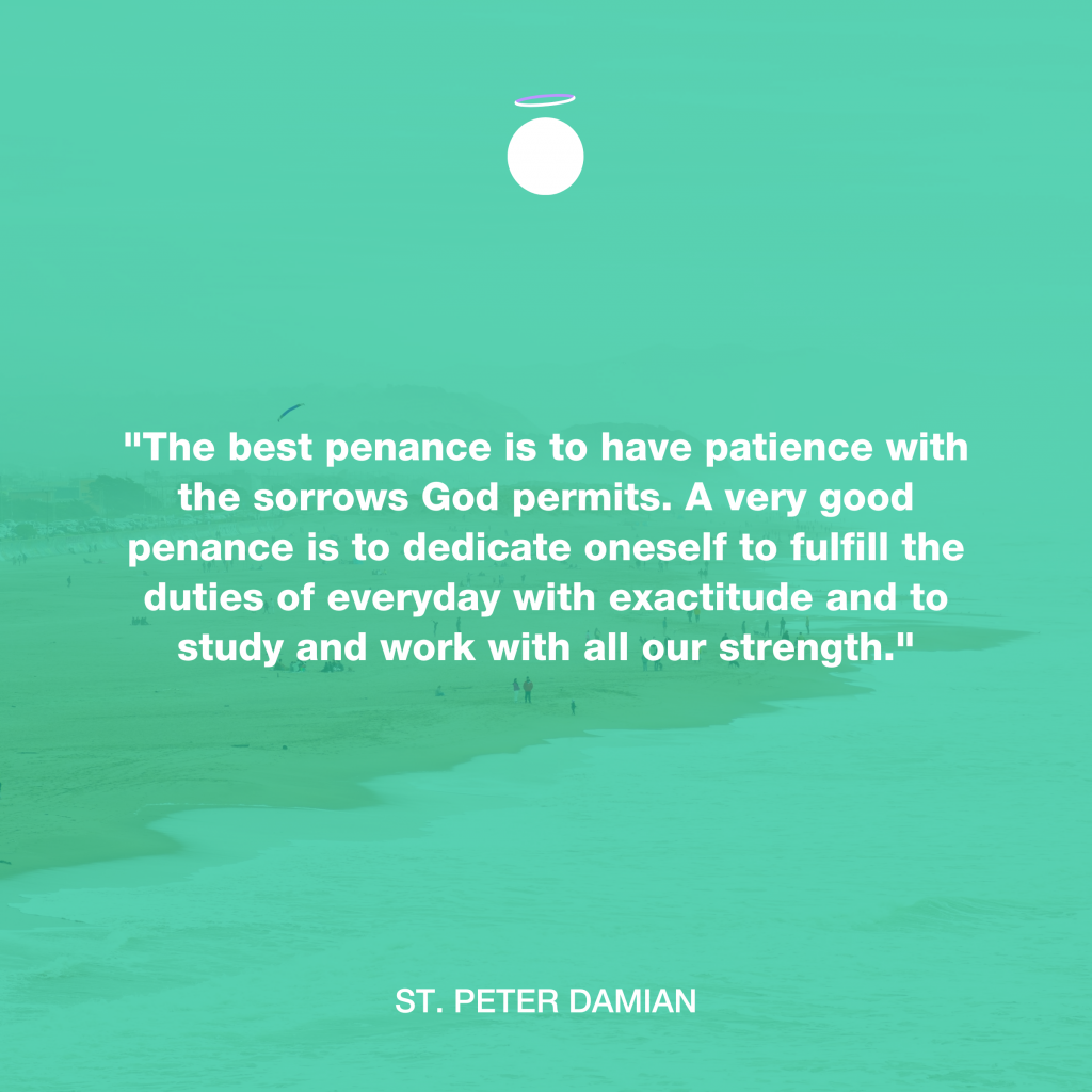 "The best penance is to have patience with the sorrows God permits. A very good penance is to dedicate oneself to fulfill the duties of everyday with exactitude and to study and work with all our strength.." - St. Peter Damian