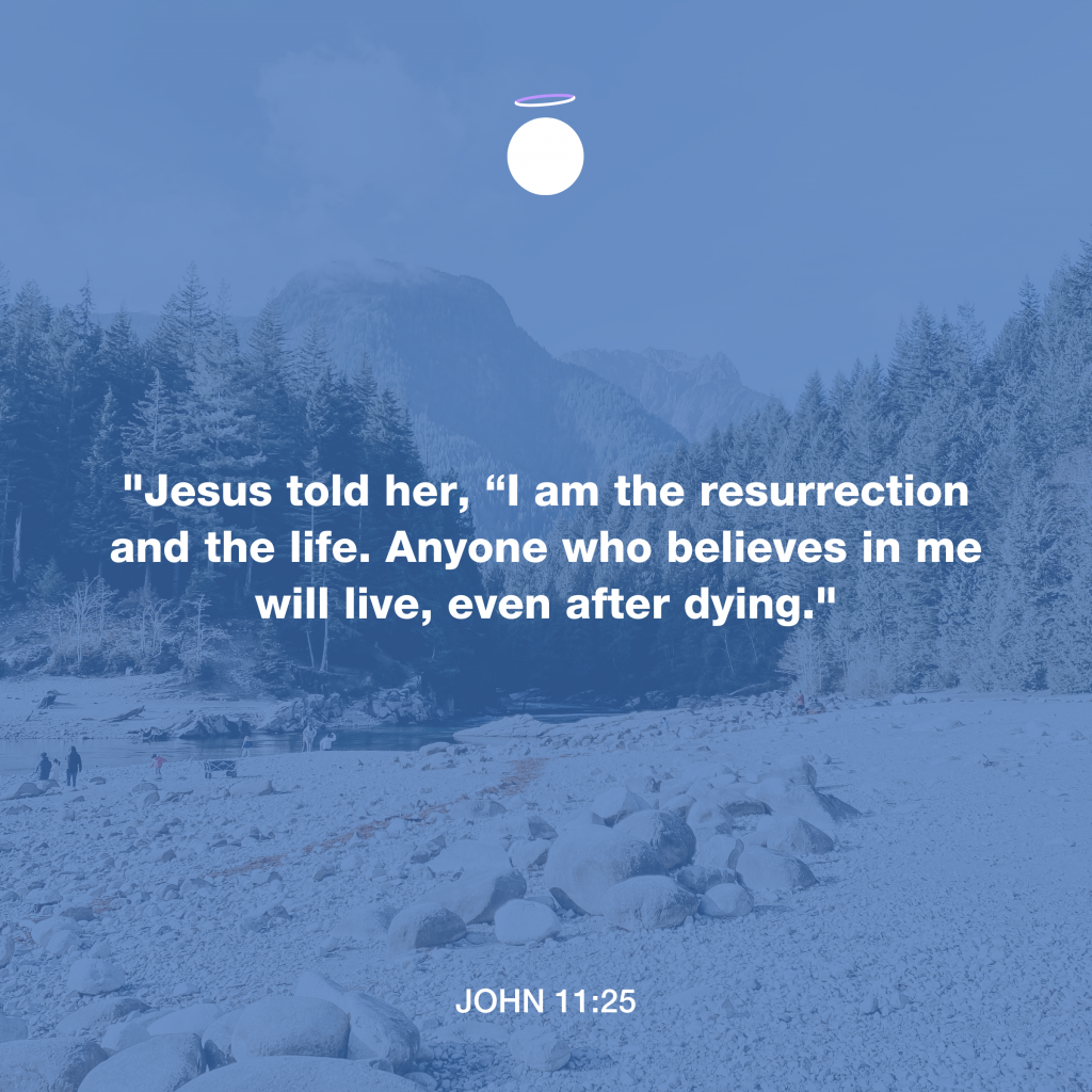 Hallow Bible Quote - John 11:25