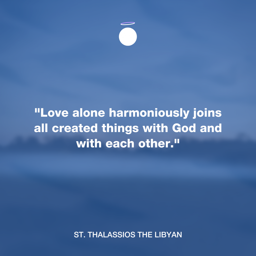 "Love alone harmoniously joins all created things with God and with each other." - St. Thalassios the Libyan