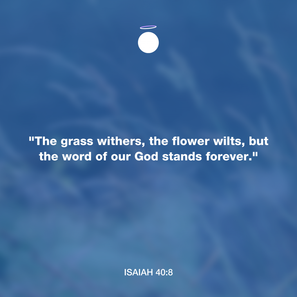 "The grass withers, the flower wilts, but the word of our God stands forever." - Isaiah 40:8