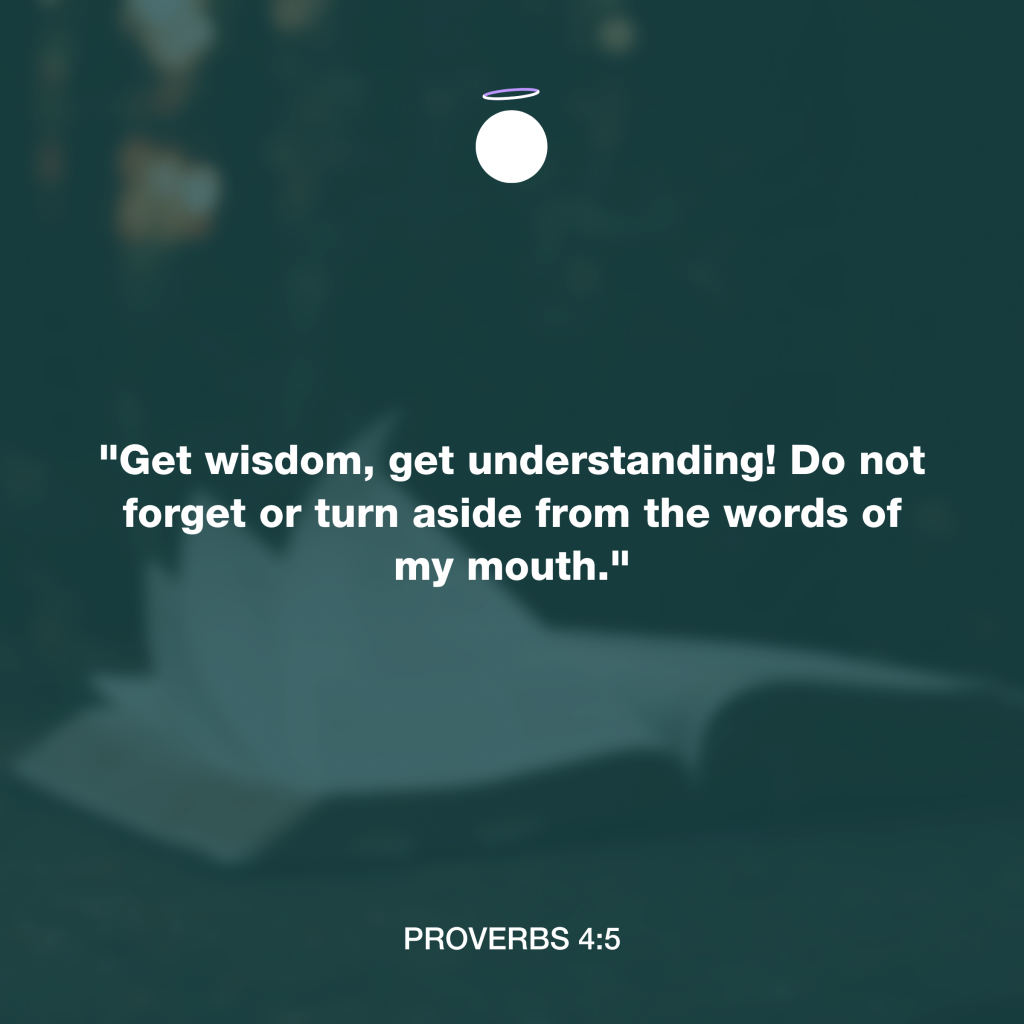 "Get wisdom, get understanding! Do not forget or turn aside from the words of my mouth." - Proverbs 4:5