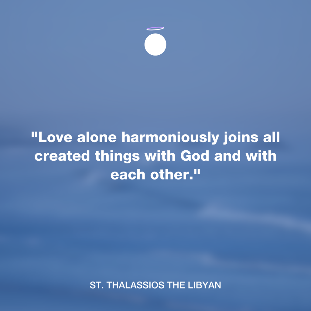 "Love alone harmoniously joins all created things with God and with each other." - St. Thalassios the Libyan