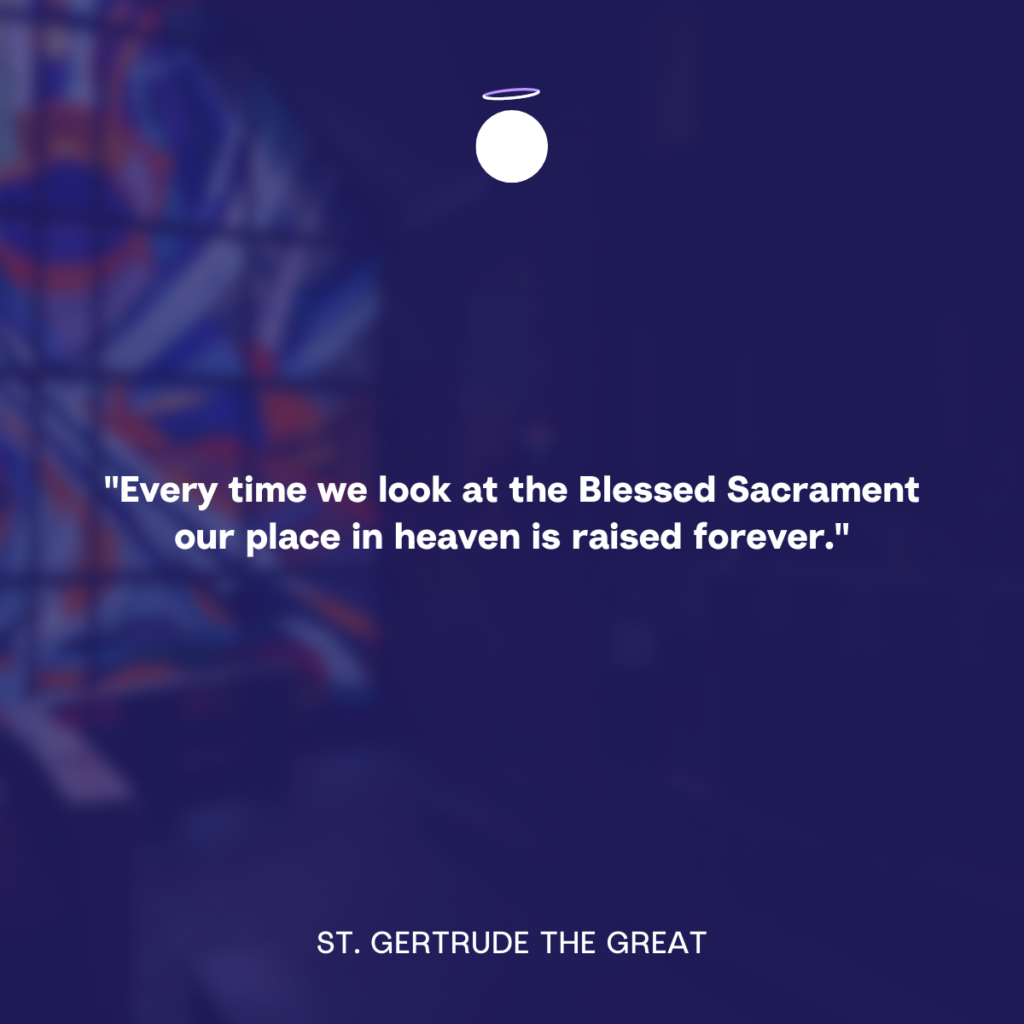 "Every time we look at the Blessed Sacrament our place in heaven is raised forever." - St. Gertrude the Great