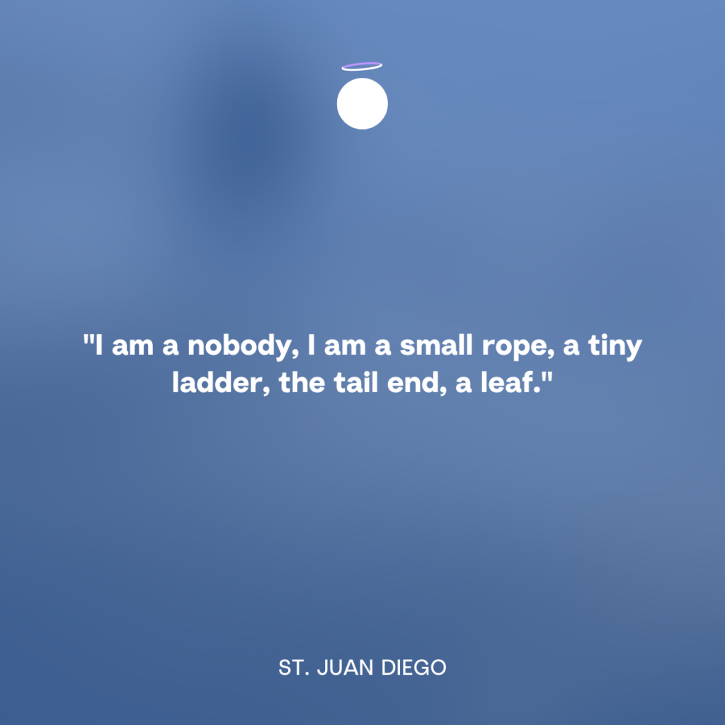 "I am a nobody, I am a small rope, a tiny ladder, the tail end, a leaf." - St. Juan Diego