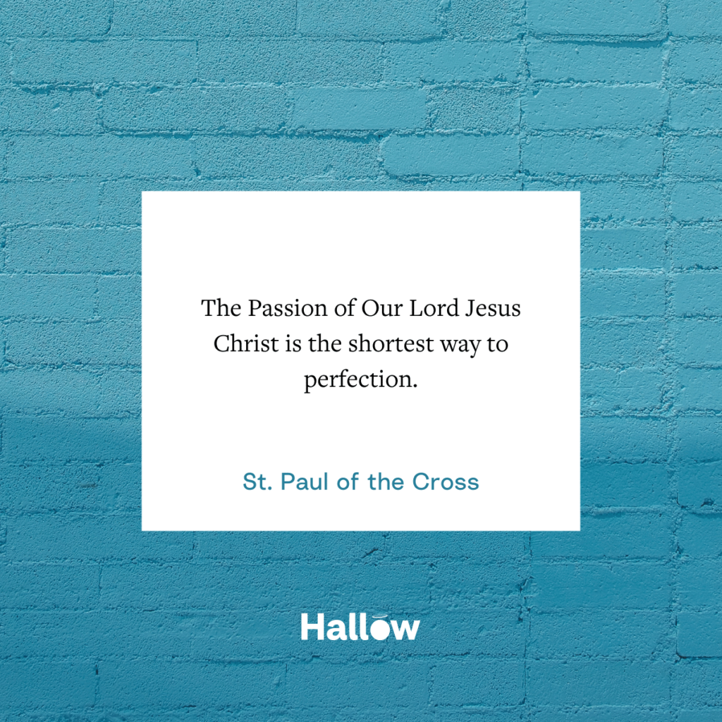 "The Passion of Our Lord Jesus Christ is the shortest way to perfection." - St. Paul of the Cross