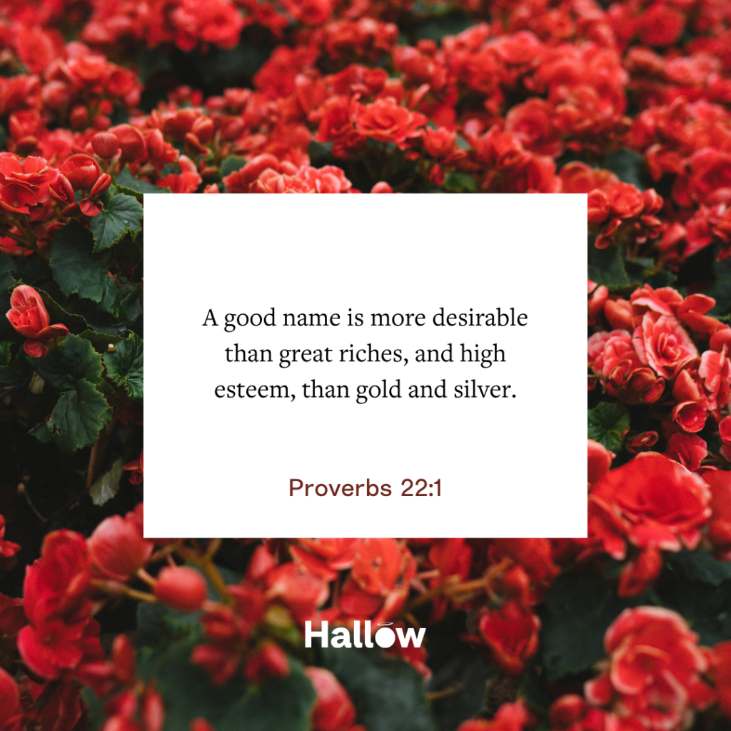 "A good name is more desirable than great riches, and high esteem, than gold and silver." - Proverbs 22:1