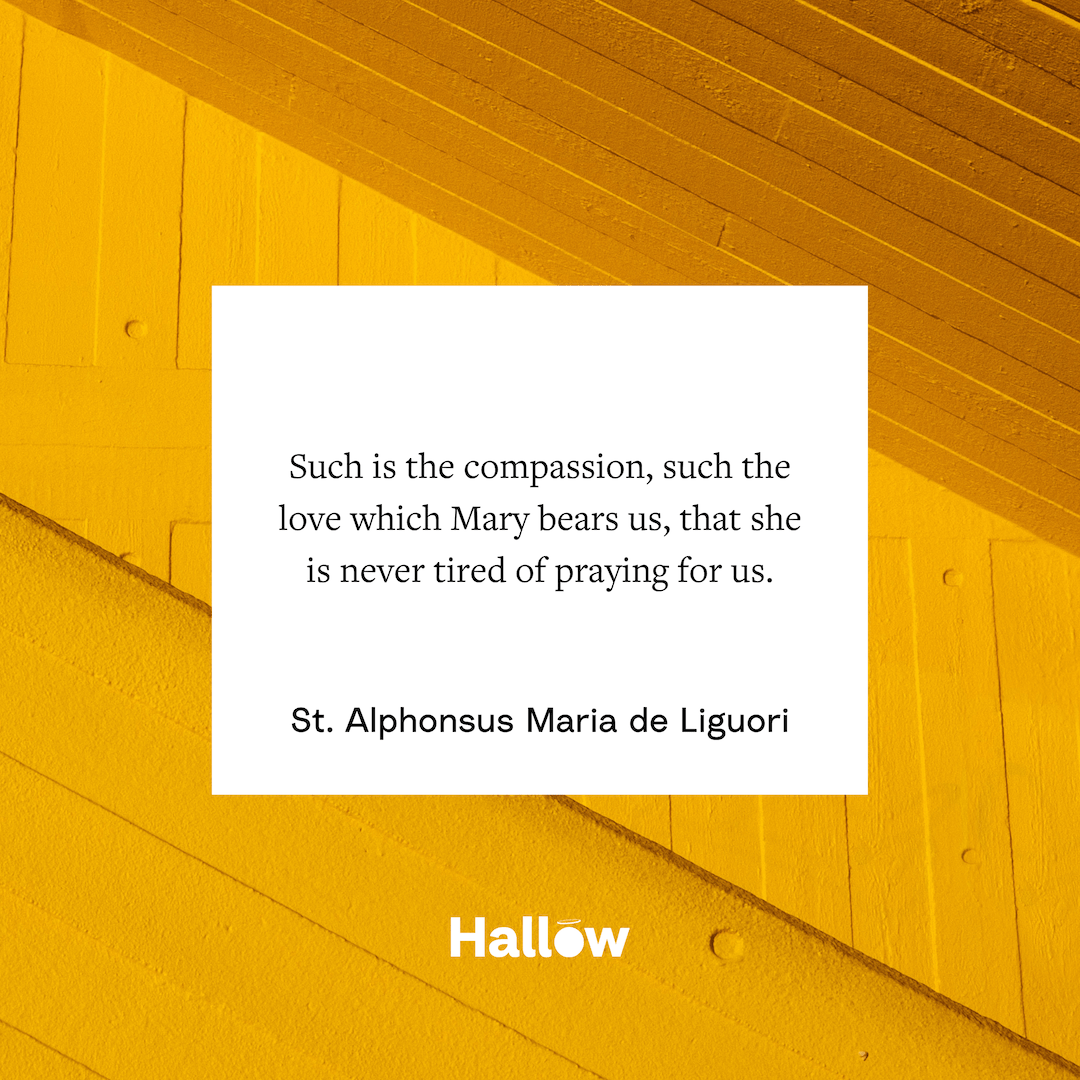 St. Alphonsus Maria de Liguori Quote Hallow