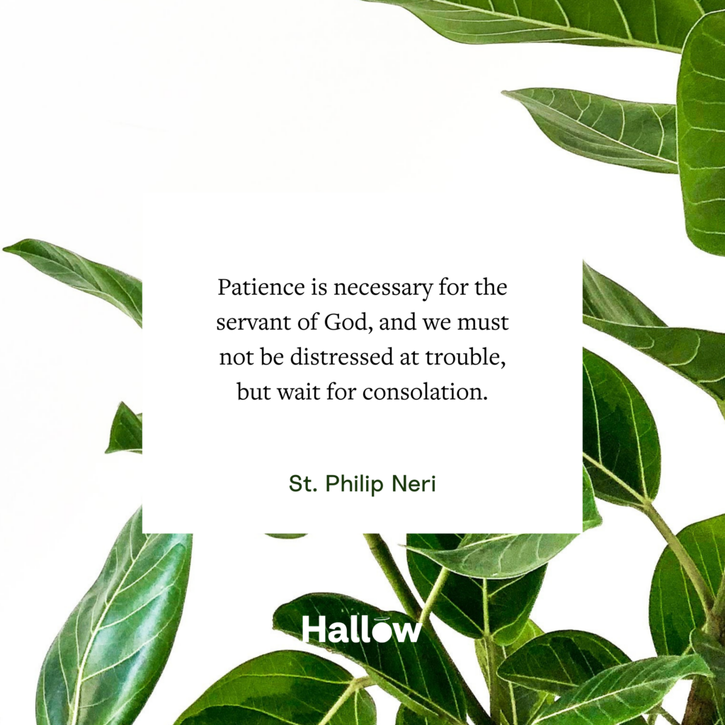 "La paciencia es necesaria para el siervo de Dios, y no debemos angustiarnos por los problemas, sino esperar el consuelo". - San Felipe Neri