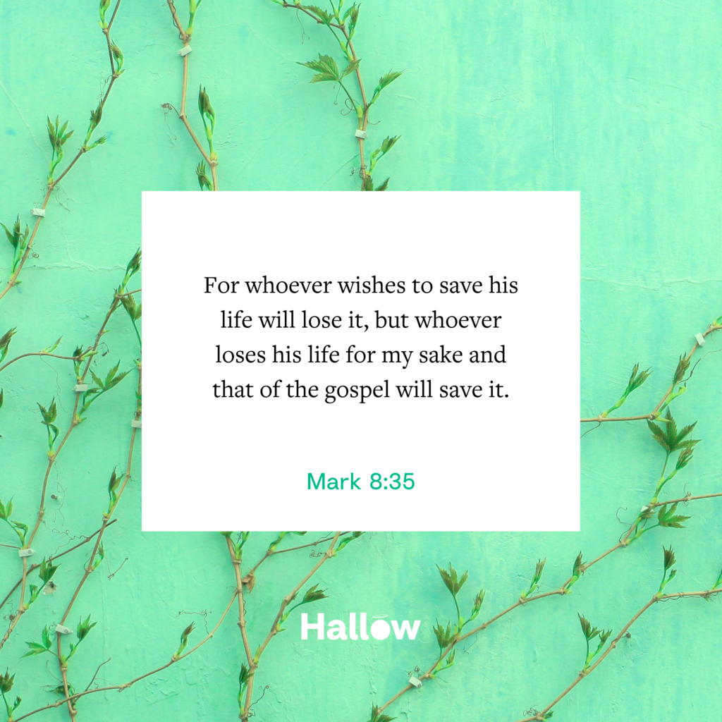 "Porque el que quiera salvar su vida, la perderá; pero el que pierda la vida por causa mía y por aceptar el evangelio, la salvará." - Marcos 8,35