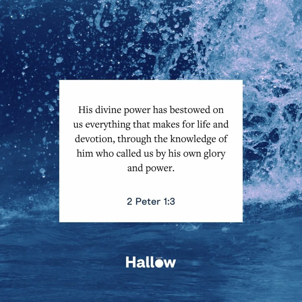 "Su poder divino nos ha otorgado todo lo que hace a la vida y a la devoción, mediante el conocimiento de aquel que nos llamó por su propia gloria y poder." - 2 Pedro 1,3