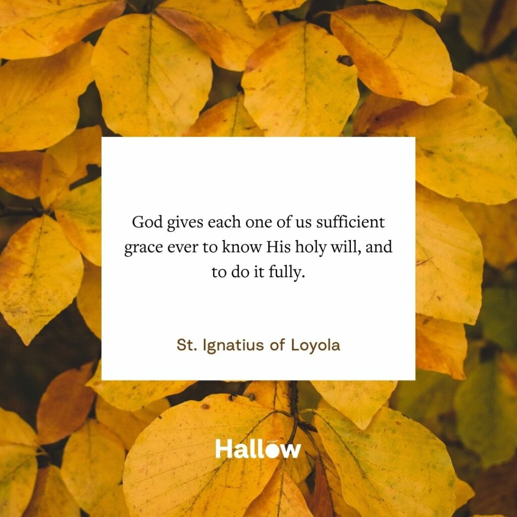 "Dios nos da a cada uno la gracia suficiente para conocer siempre su santa voluntad y cumplirla plenamente". - San Ignacio de Loyola