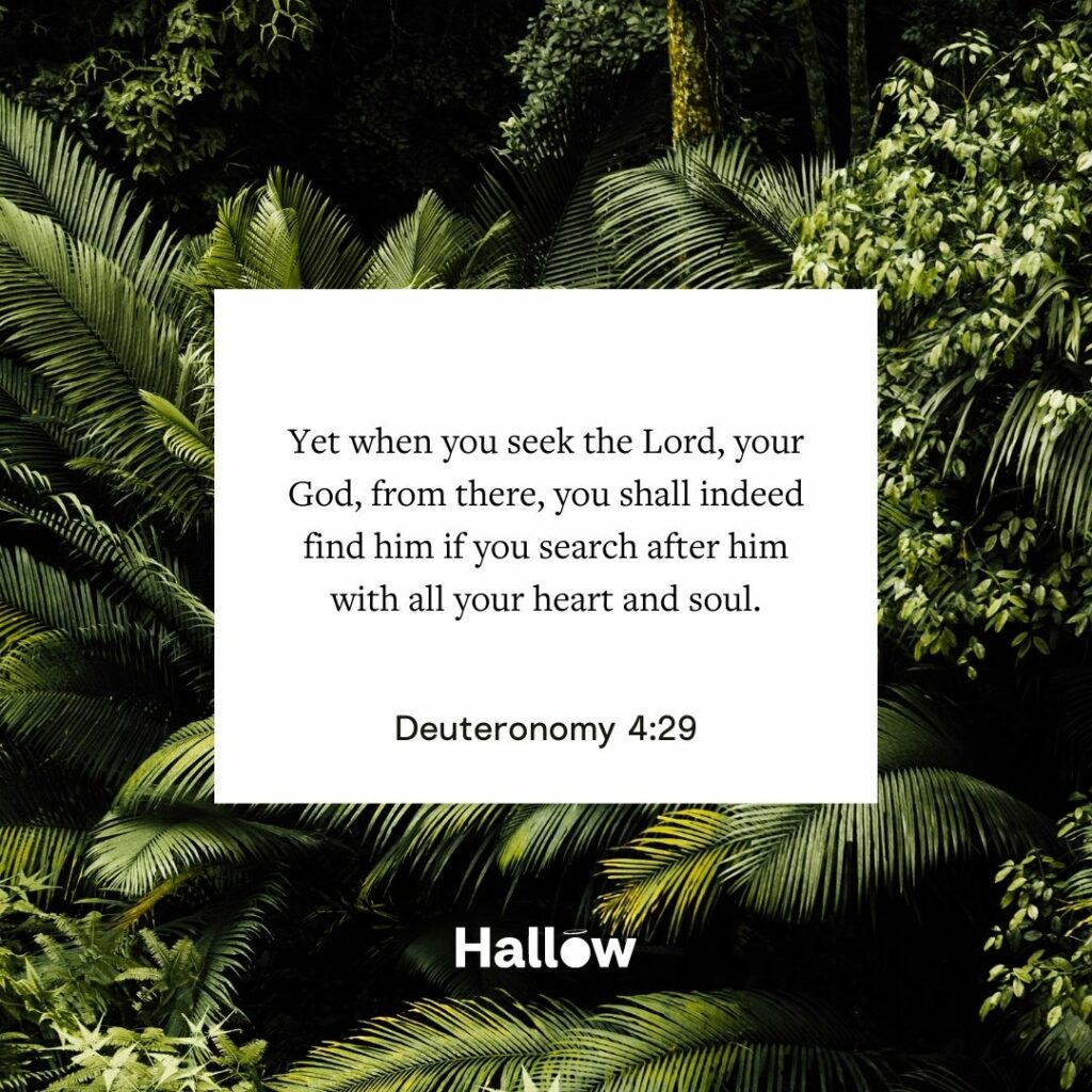 "Sin embargo, cuando busques al Señor tu Dios, desde allí, ciertamente lo encontrarás si lo buscas con todo tu corazón y toda tu alma". - Deuteronomio 4, 29