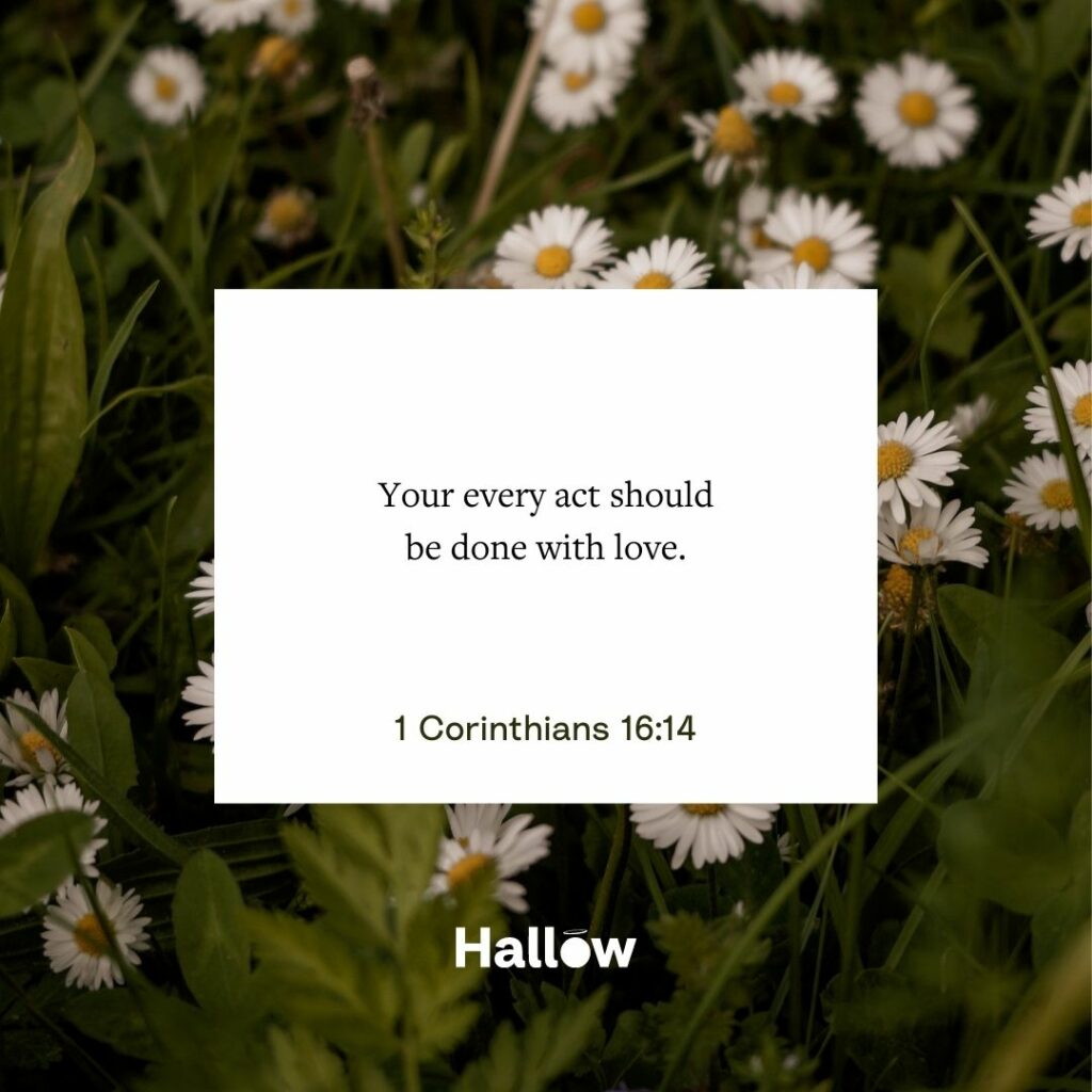 "Każdy twój czyn powinien być wykonywany z miłością". - 1 Kor 16, 14