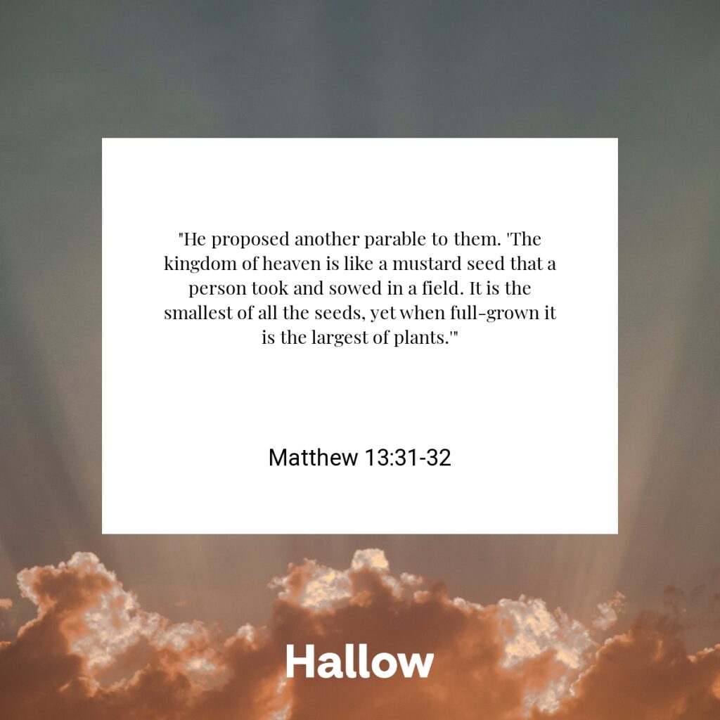 "He proposed another parable to them. 'The kingdom of heaven is like a mustard seed that a person took and sowed in a field. It is the smallest of all the seeds, yet when full-grown it is the largest of plants.'" - Matthew 13:31-32