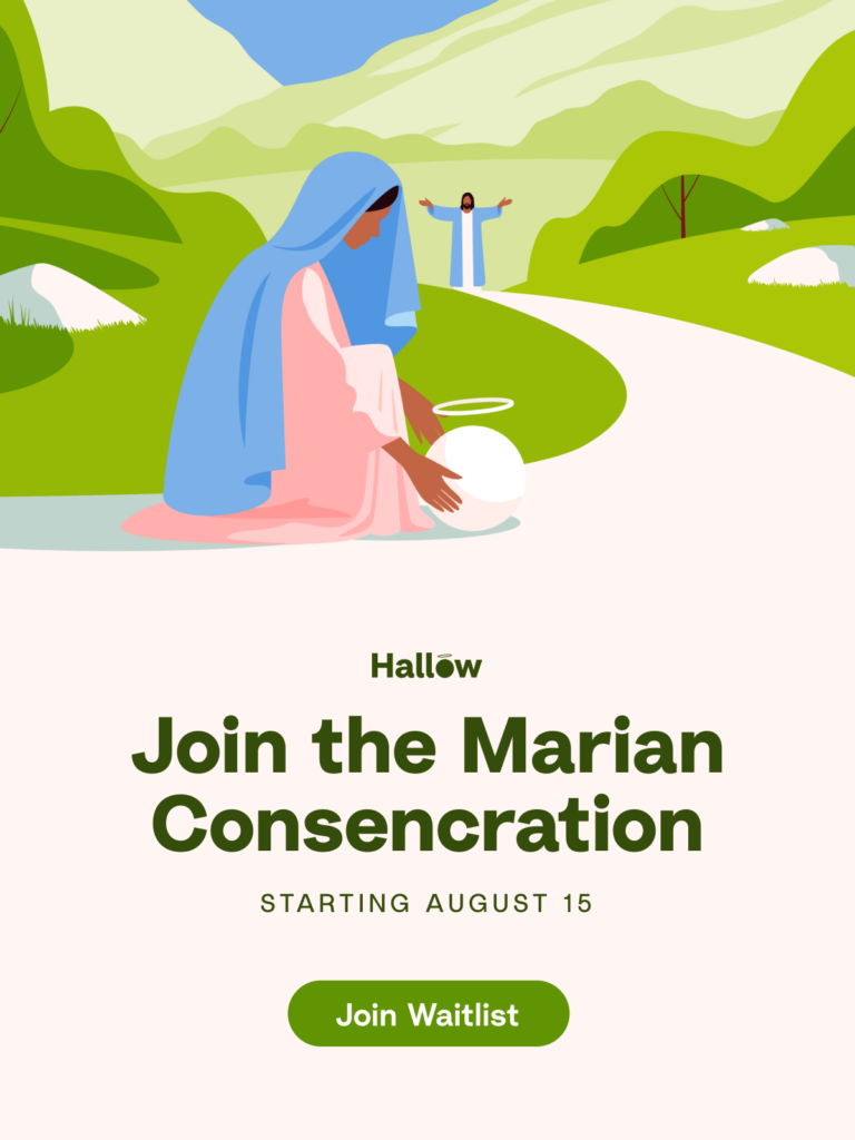 33-Day Marian consecration prayer challenge on Hallow