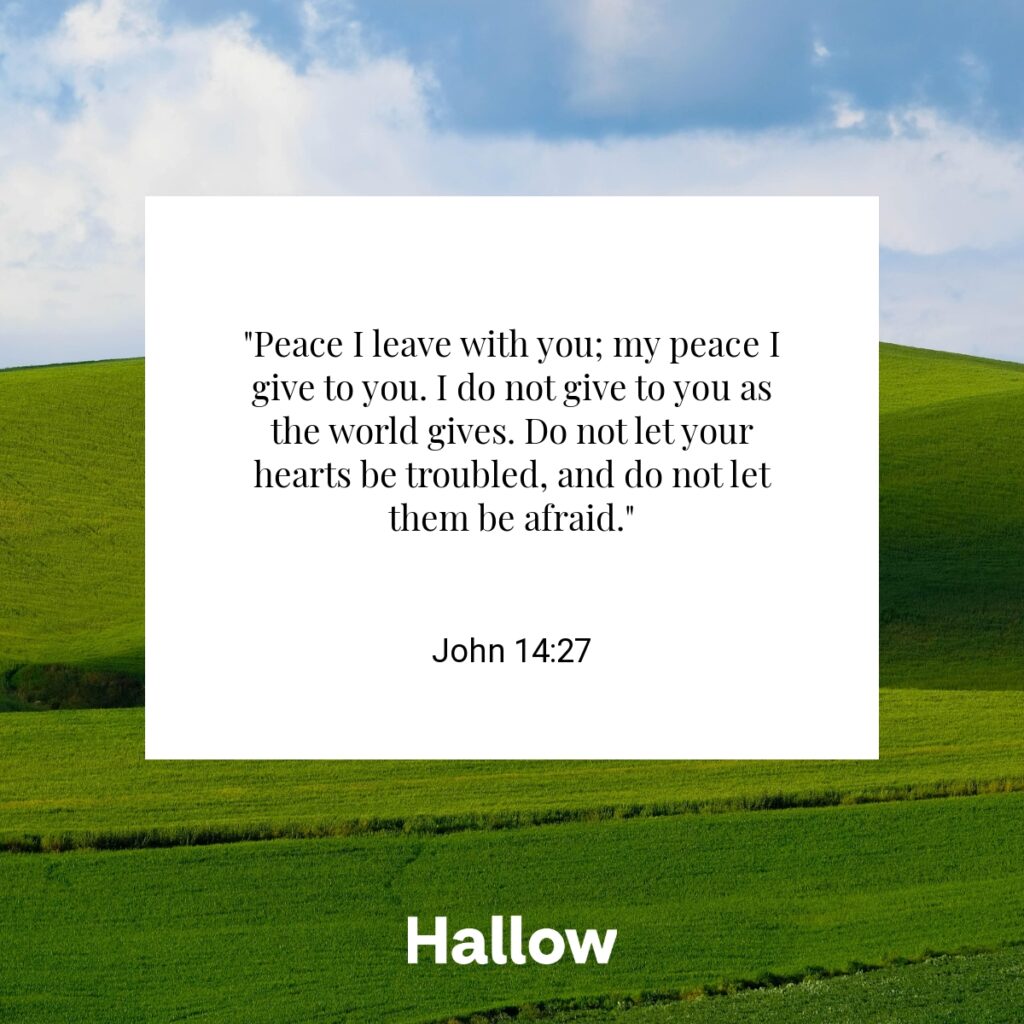 "Peace I leave with you; my peace I give to you. I do not give to you as the world gives. Do not let your hearts be troubled, and do not let them be afraid." - John 14:27