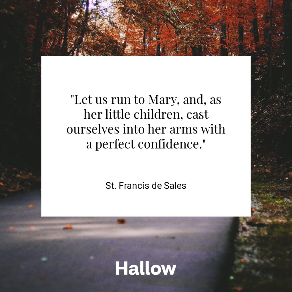 "Let us run to Mary, and, as her little children, cast ourselves into her arms with a perfect confidence."  - St. Francis de Sales