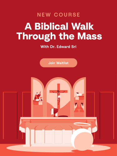 Biblical Walk Through The Mass with Dr. Sri