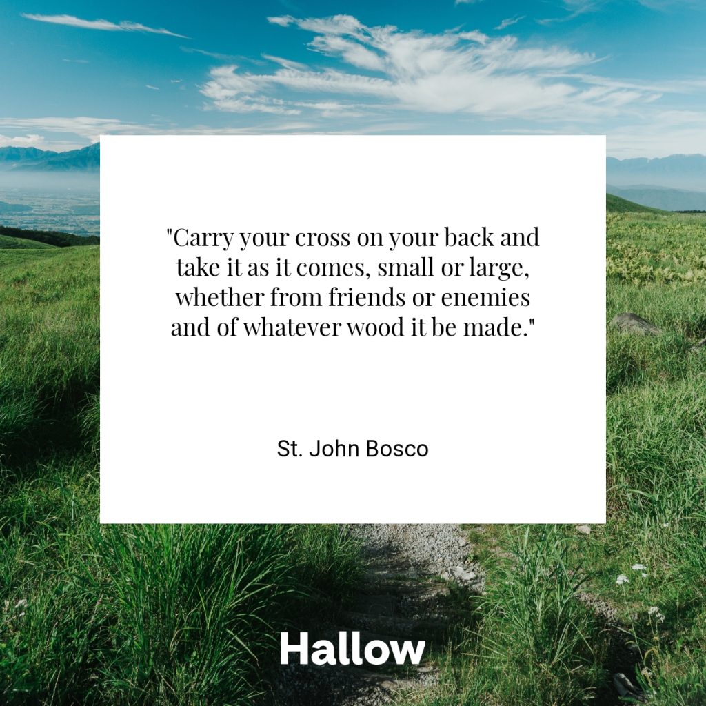 "Carry your cross on your back and take it as it comes, small or large, whether from friends or enemies and of whatever wood it be made." - St. John Bosco