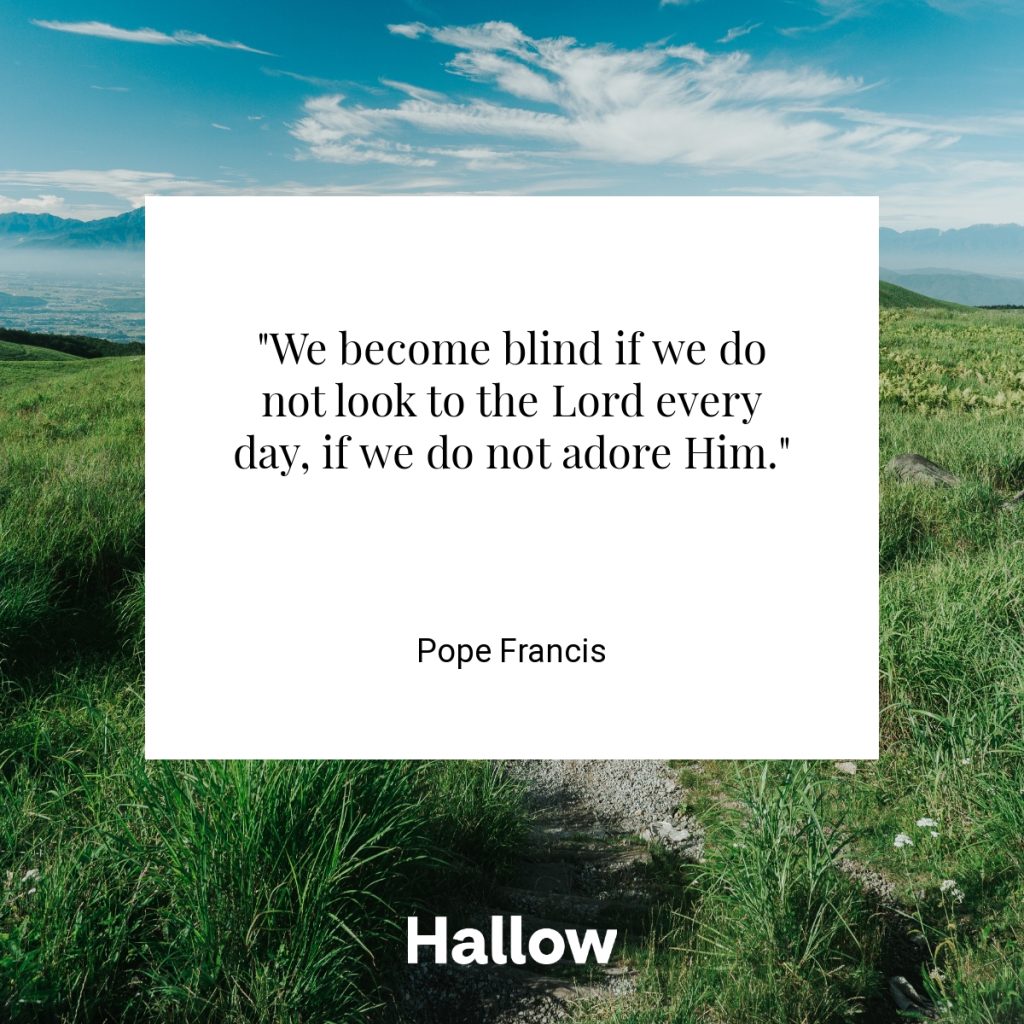 "We become blind if we do not look to the Lord every day, if we do not adore Him." - Pope Francis