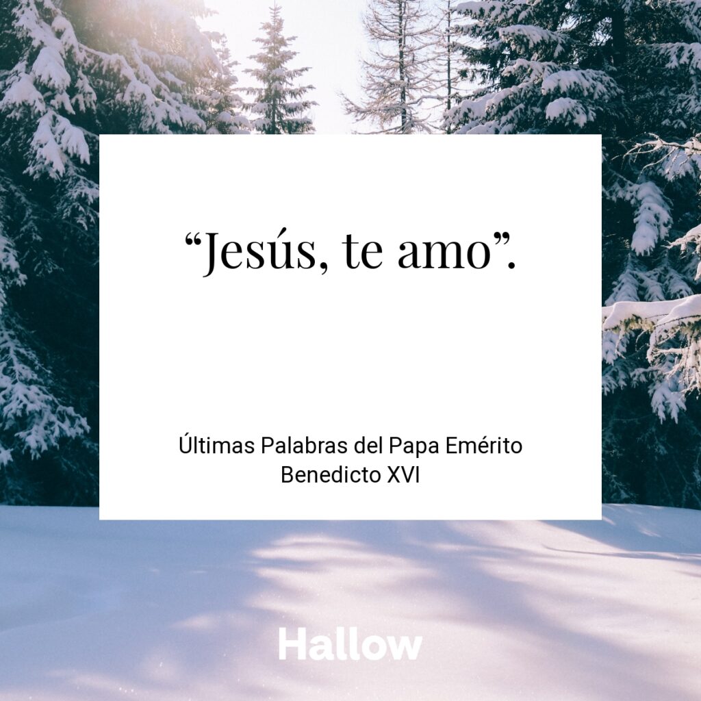“Jesús, te amo”. - Últimas Palabras del Papa Emérito Benedicto XVI