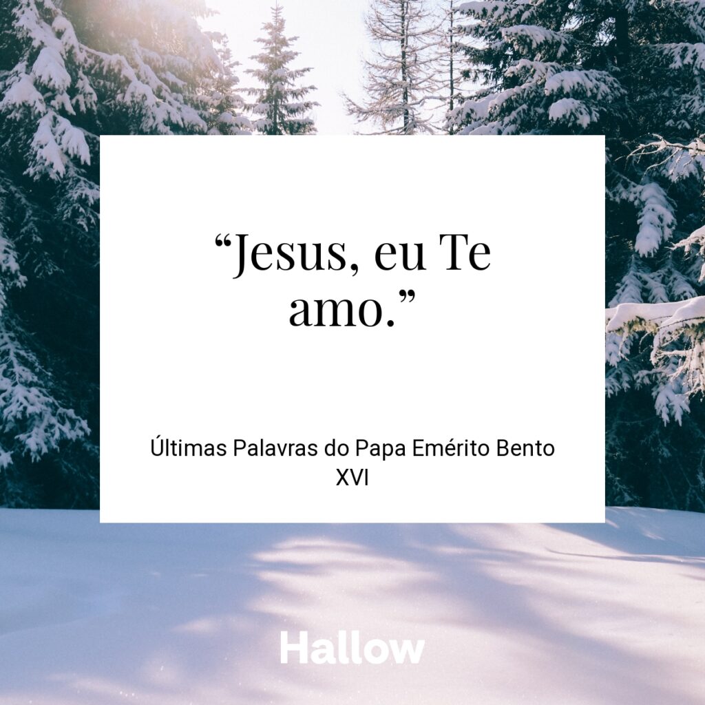 “Jesus, eu Te amo.” - Últimas Palavras do Papa Emérito Bento XVI