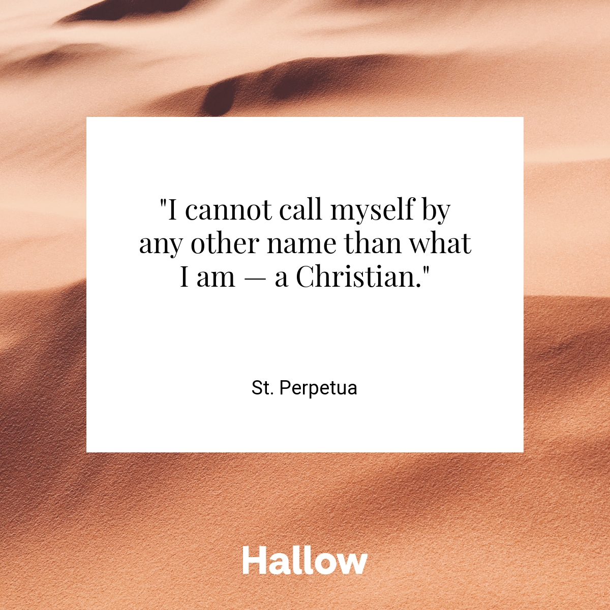 St. Perpetua Quote Hallow
