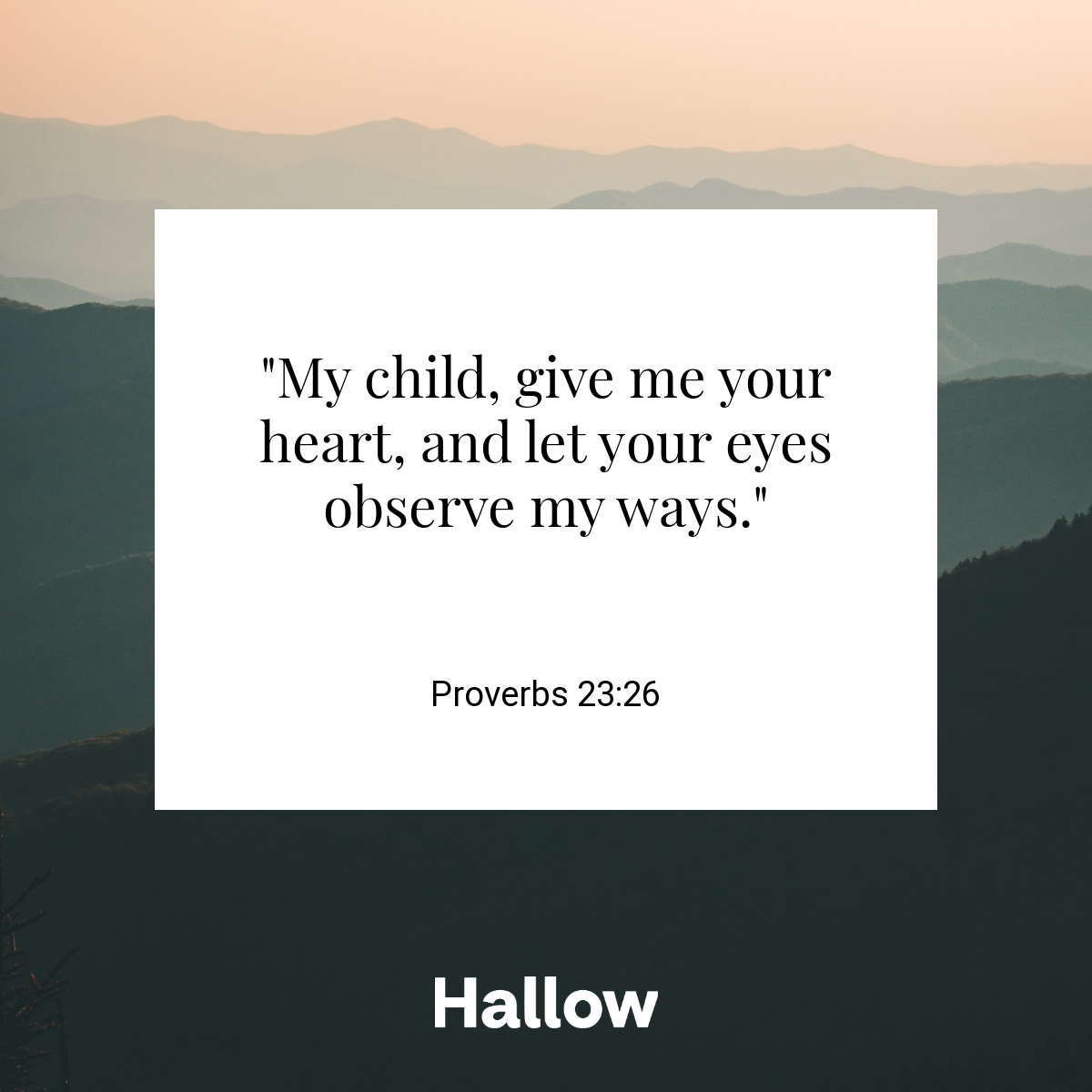 Proverbs 23 26 Quote Hallow