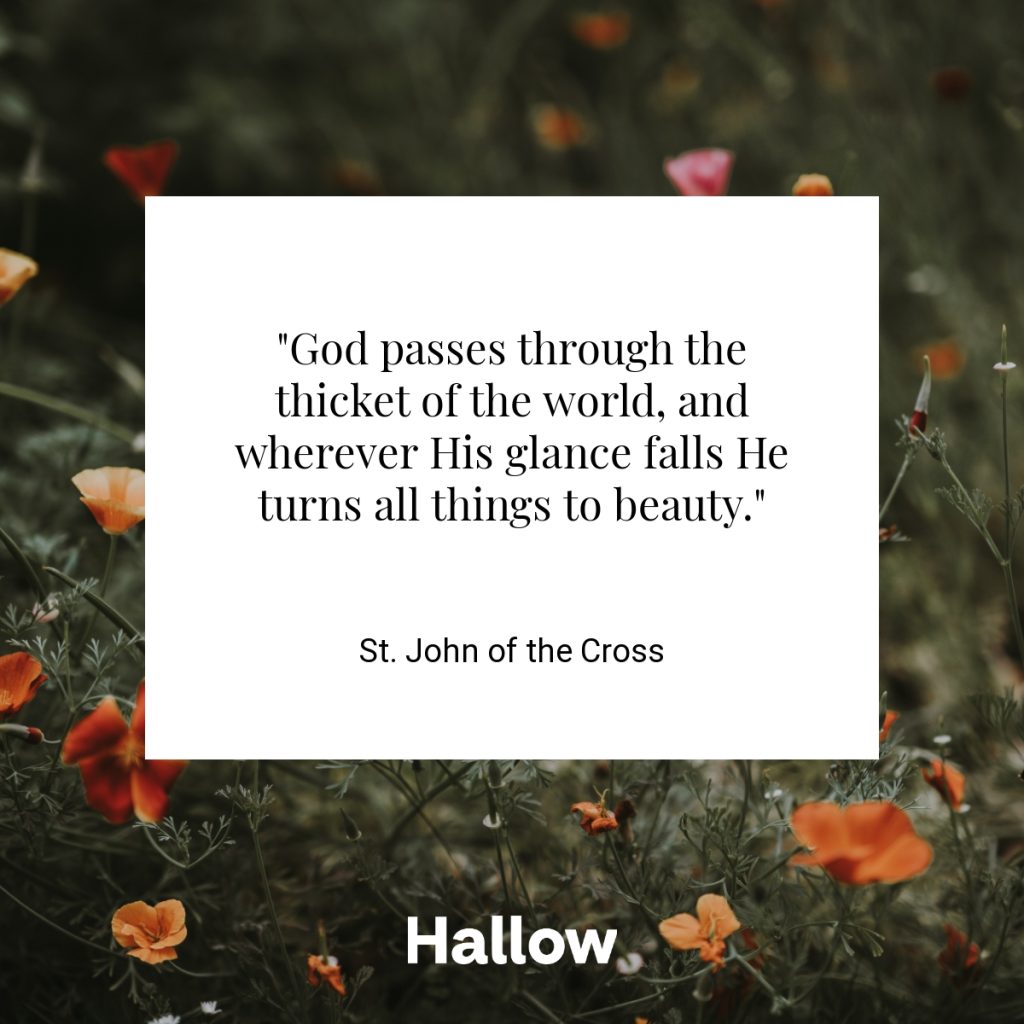 "God passes through the thicket of the world, and wherever His glance falls He turns all things to beauty." - St. John of the Cross