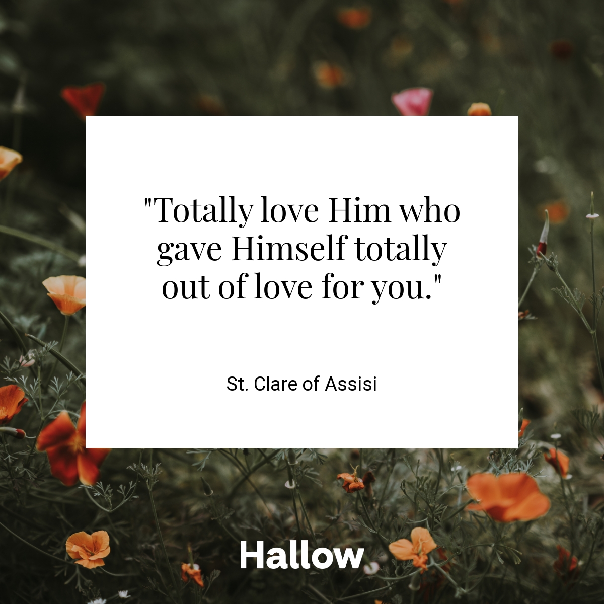 St. Clare of Assisi Quote – Hallow