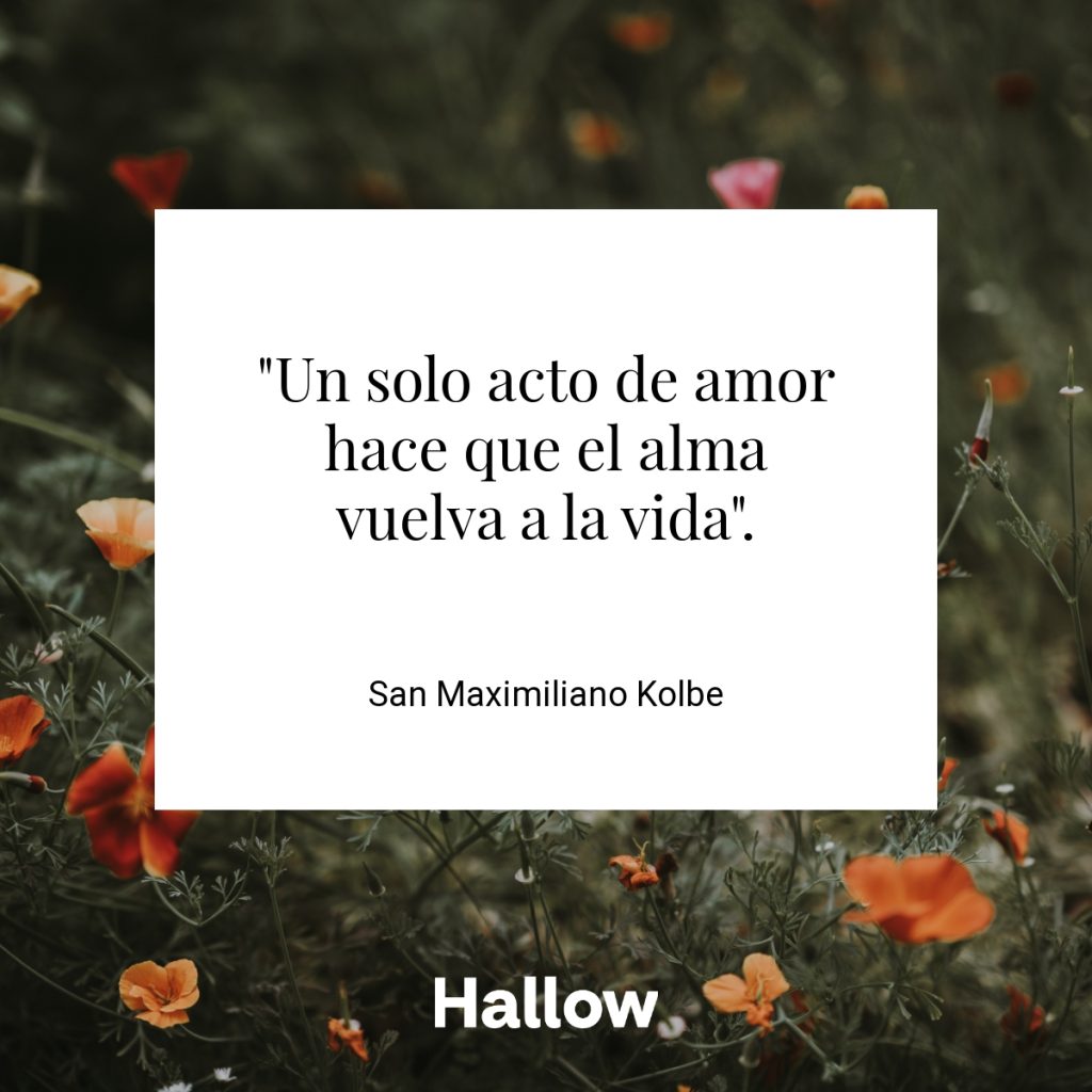 "Un solo acto de amor hace que el alma vuelva a la vida". - San Maximiliano Kolbe