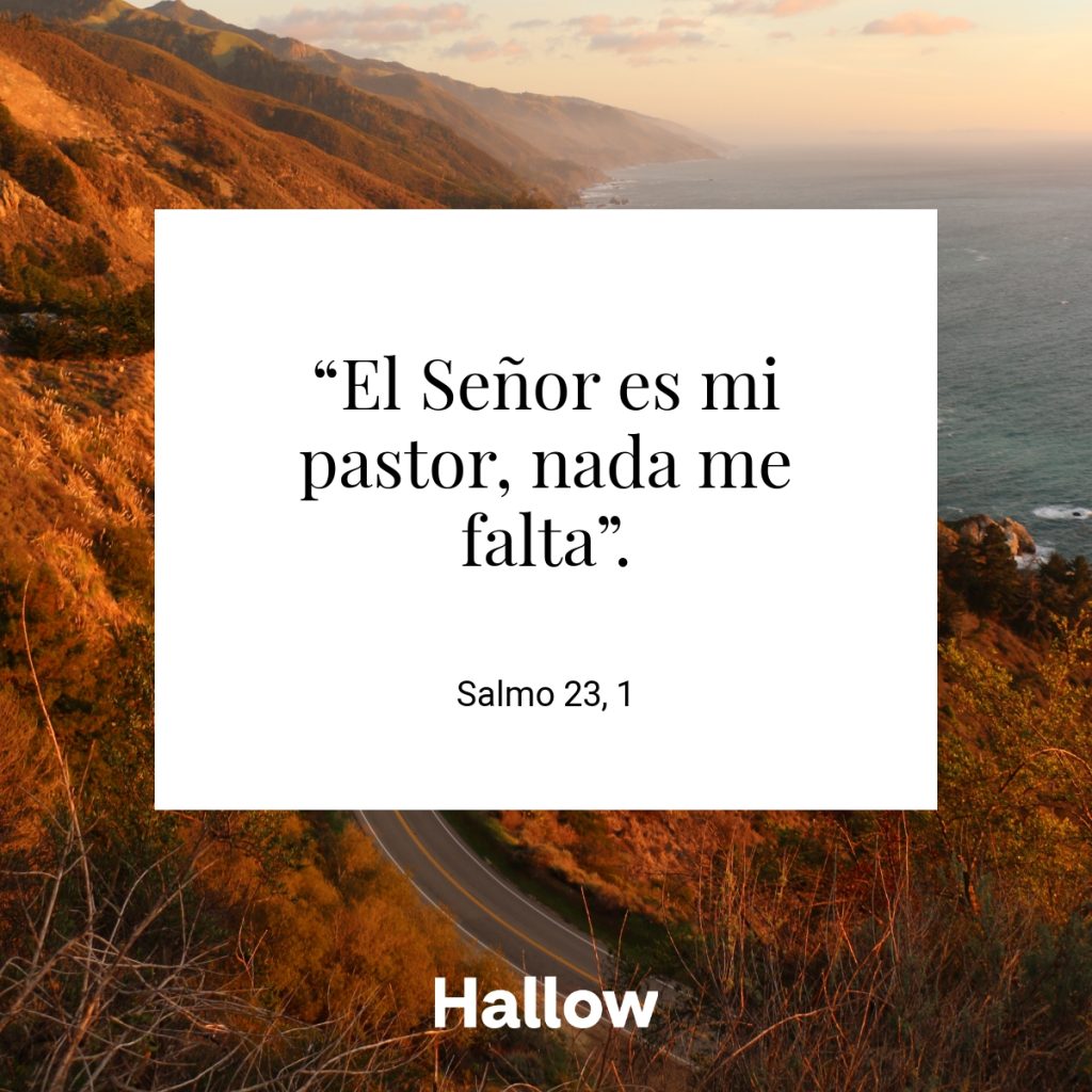 “El Señor es mi pastor, nada me falta”. - Salmo 23, 1