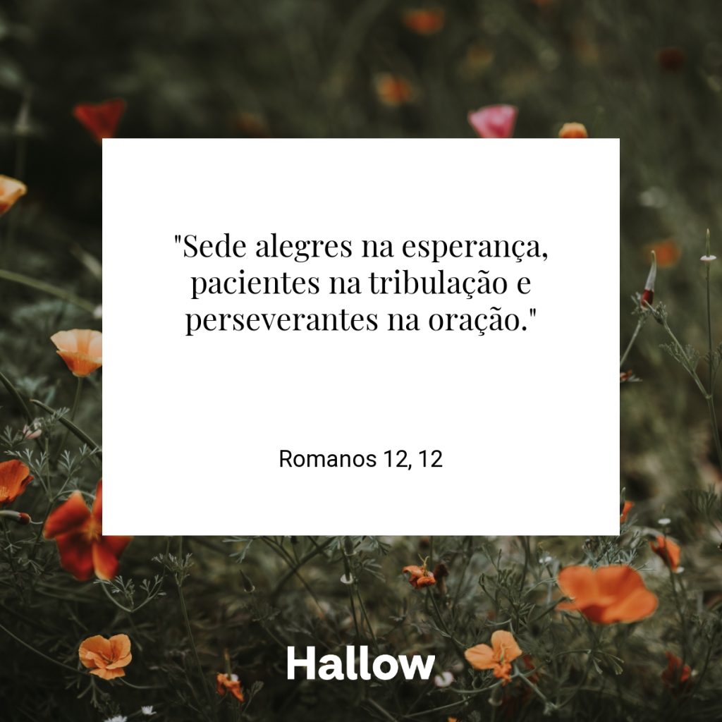 "Sede alegres na esperança, pacientes na tribulação e perseverantes na oração." - Romanos 12, 12