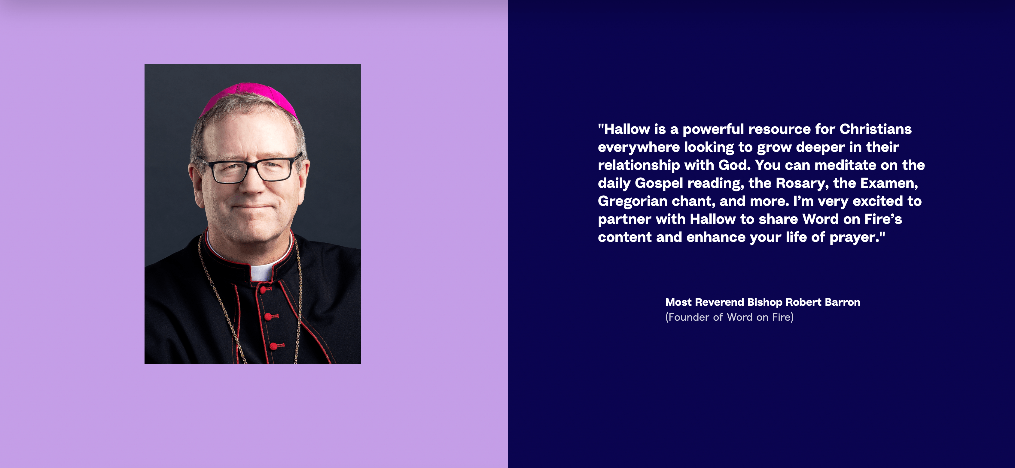 Screen Shot 2023-05-24 at 6.00.29 PM-min Bishop Barron Testimonial