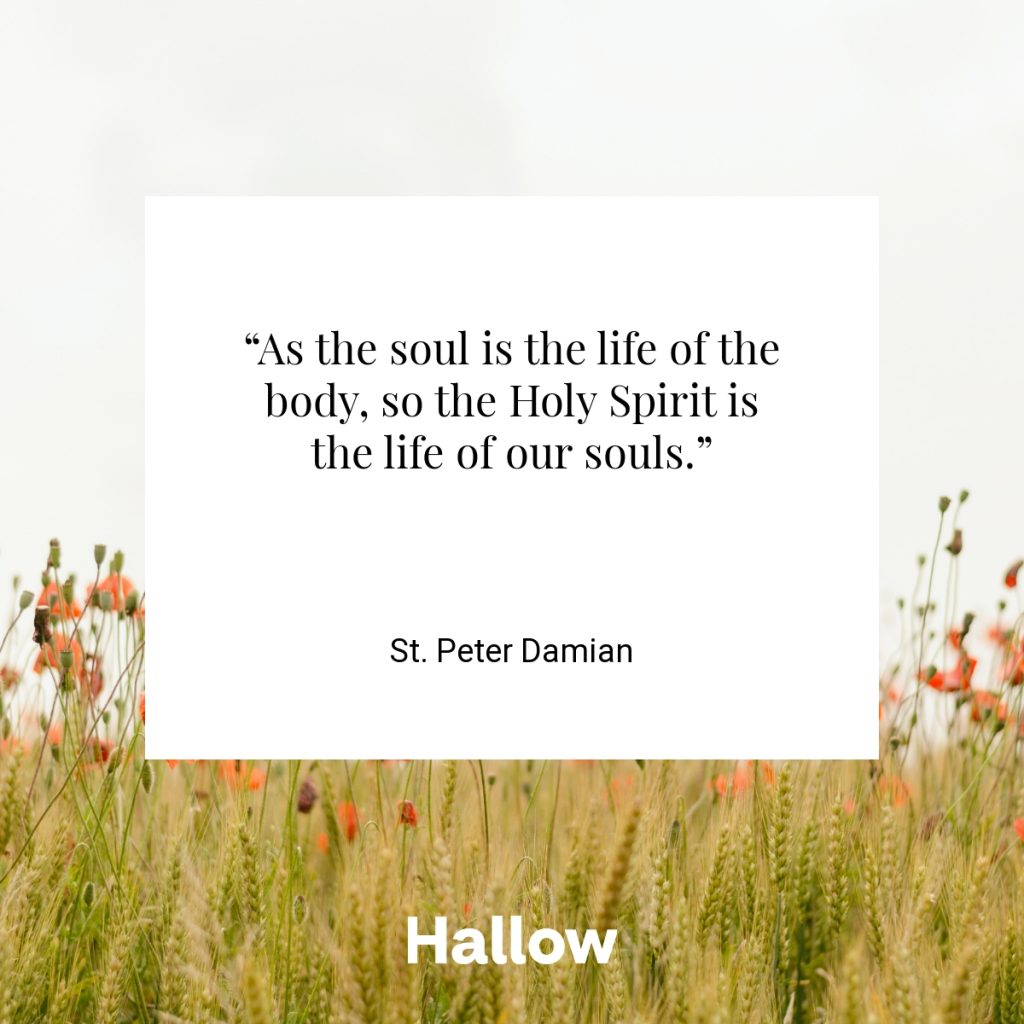 “As the soul is the life of the body, so the Holy Spirit is the life of our souls.” - St. Peter Damian