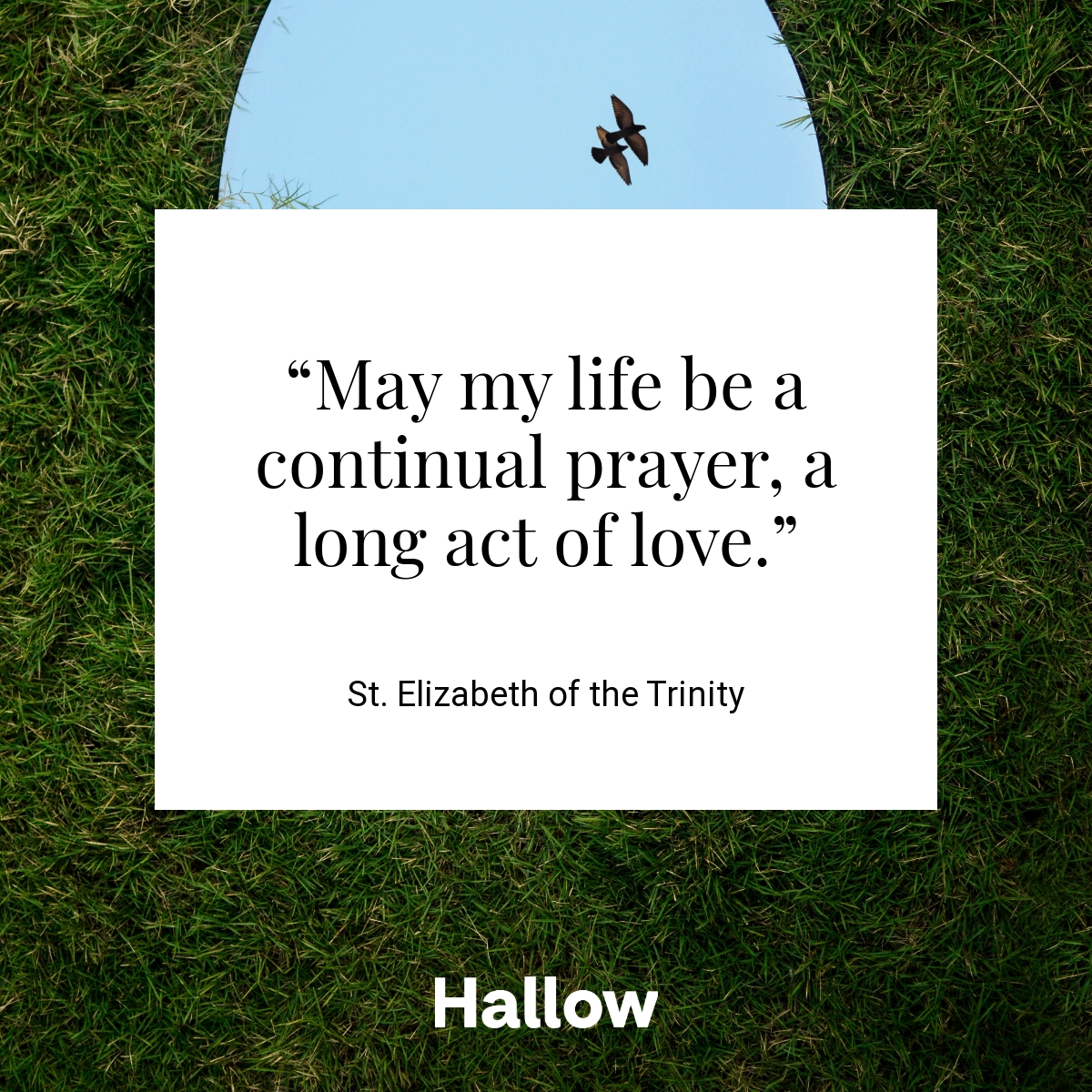 St. Elizabeth of the Trinity Quote Hallow