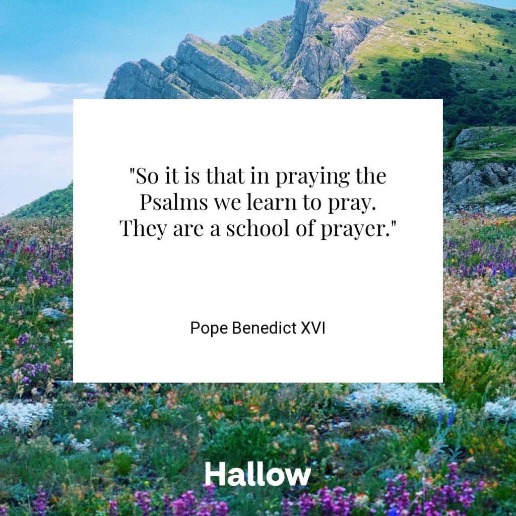 "So it is that in praying the Psalms we learn to pray. They are a school of prayer." - Pope Benedict XVI
