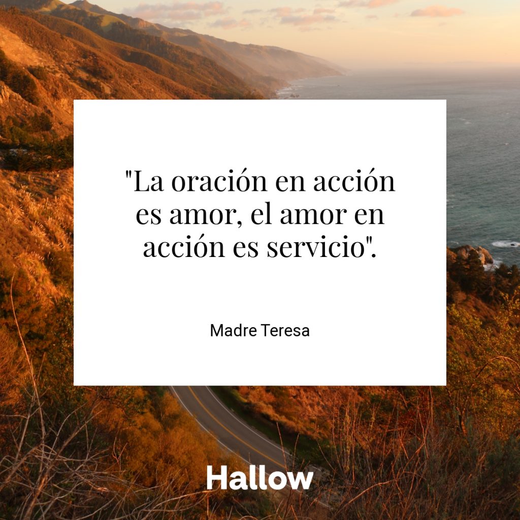 "La oración en acción es amor, el amor en acción es servicio". - Madre Teresa