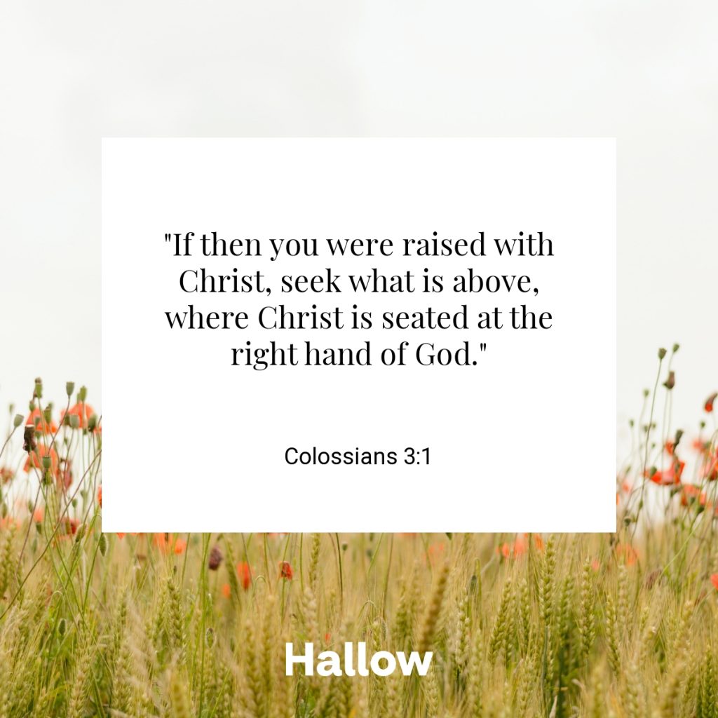"If then you were raised with Christ, seek what is above, where Christ is seated at the right hand of God." - Colossians 3:1