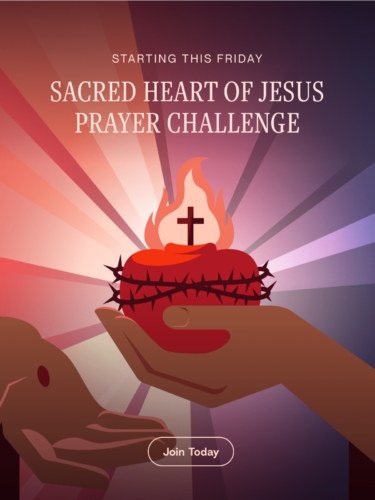 Sacred Heart of Novena Challenge on Hallow