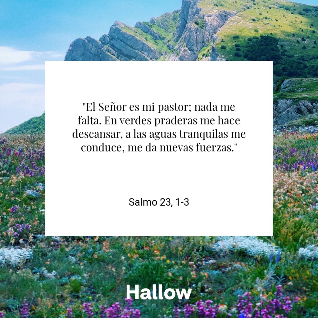 "El Señor es mi pastor; nada me falta. En verdes praderas me hace descansar, a las aguas tranquilas me conduce, me da nuevas fuerzas." - Salmo 23, 1-3