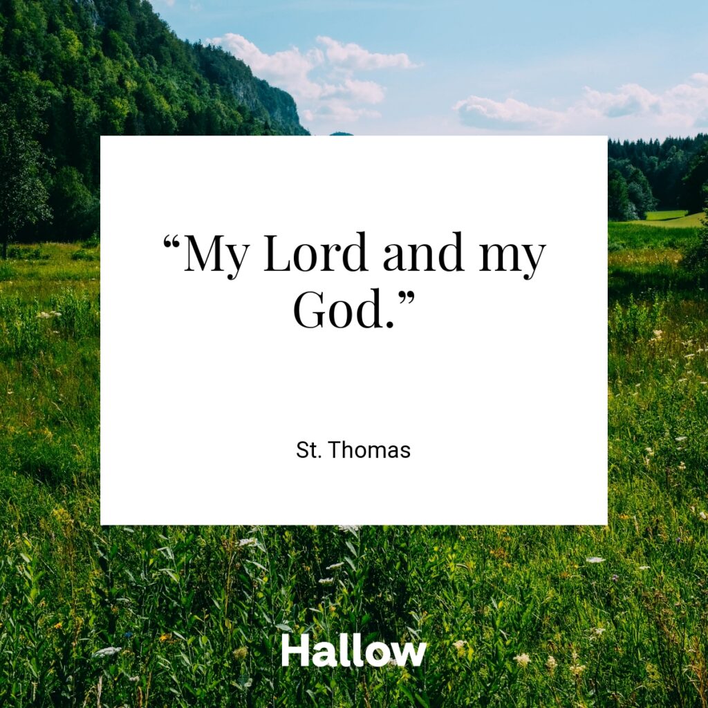 “My Lord and my God.” - St. Thomas