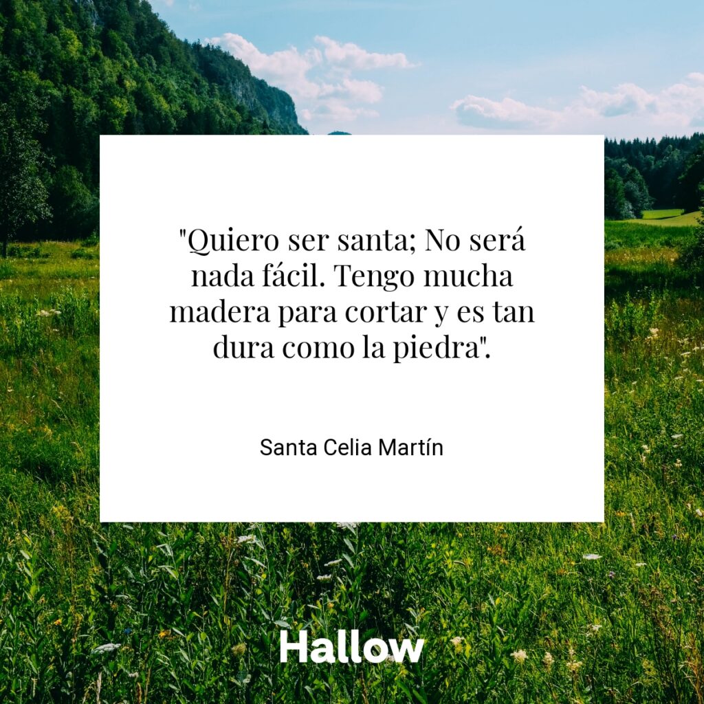 "Quiero ser santa; No será nada fácil. Tengo mucha madera para cortar y es tan dura como la piedra". - Santa Celia Martín