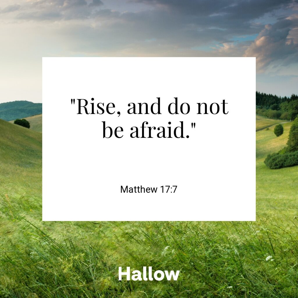 "Rise, and do not be afraid." - Matthew 17:7