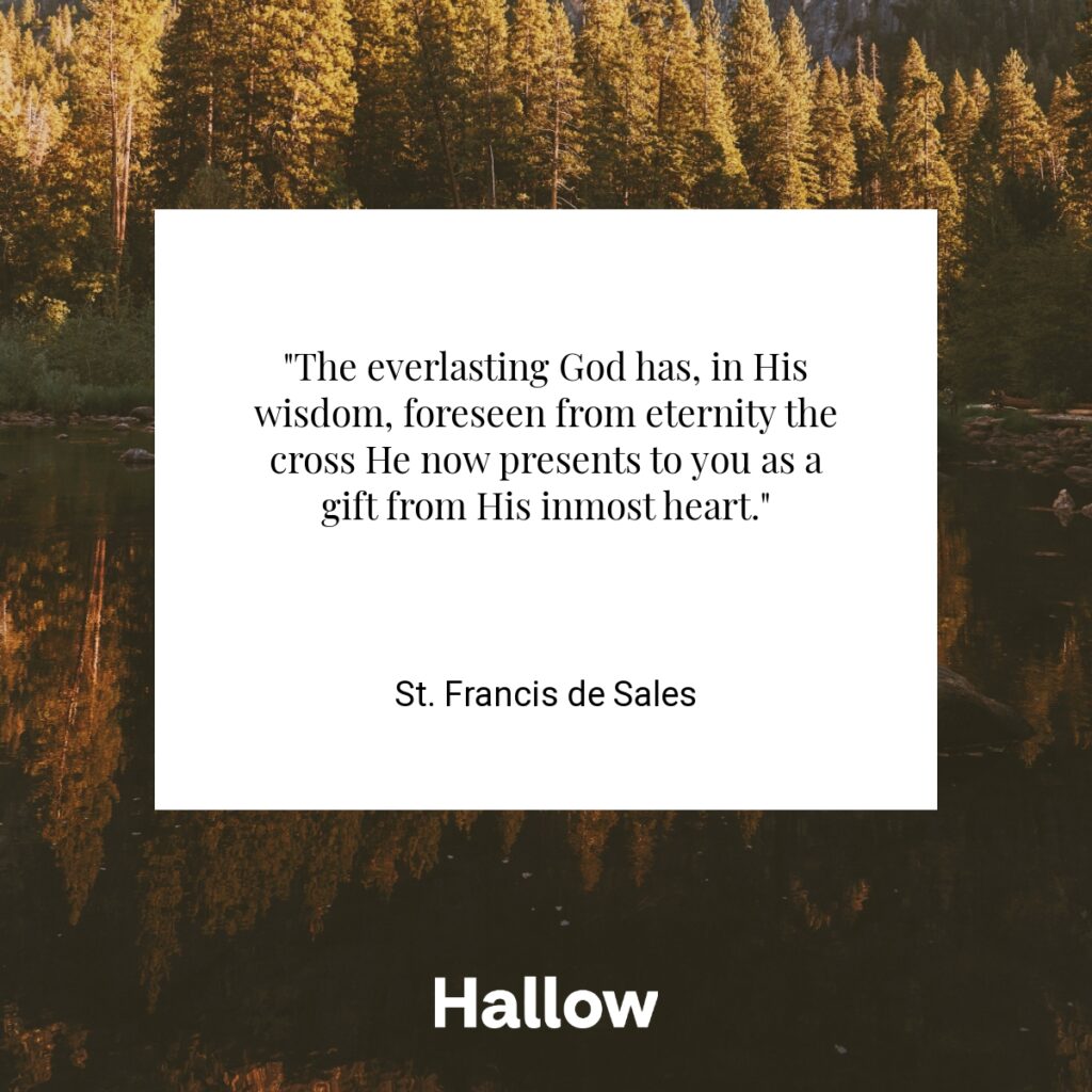 "The everlasting God has, in His wisdom, foreseen from eternity the cross He now presents to you as a gift from His inmost heart." - St. Francis de Sales 