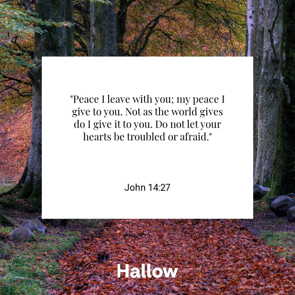 "Peace I leave with you; my peace I give to you. Not as the world gives do I give it to you. Do not let your hearts be troubled or afraid." - John 14:27