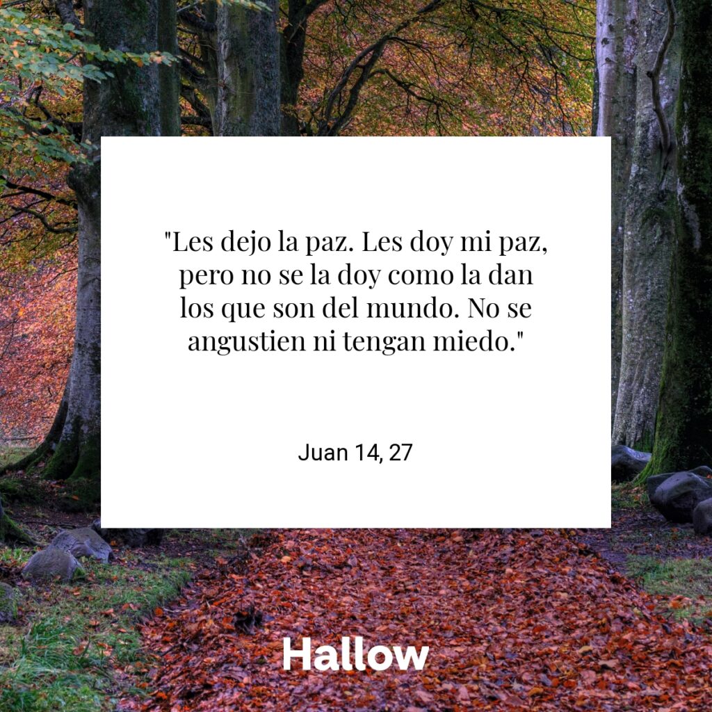 "Les dejo la paz. Les doy mi paz, pero no se la doy como la dan los que son del mundo. No se angustien ni tengan miedo." - Juan 14, 27