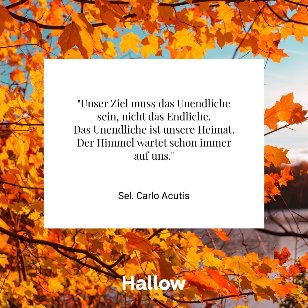 "Unser Ziel muss das Unendliche sein, nicht das Endliche.
Das Unendliche ist unsere Heimat. Der Himmel wartet schon immer auf uns." - Sel. Carlo Acutis